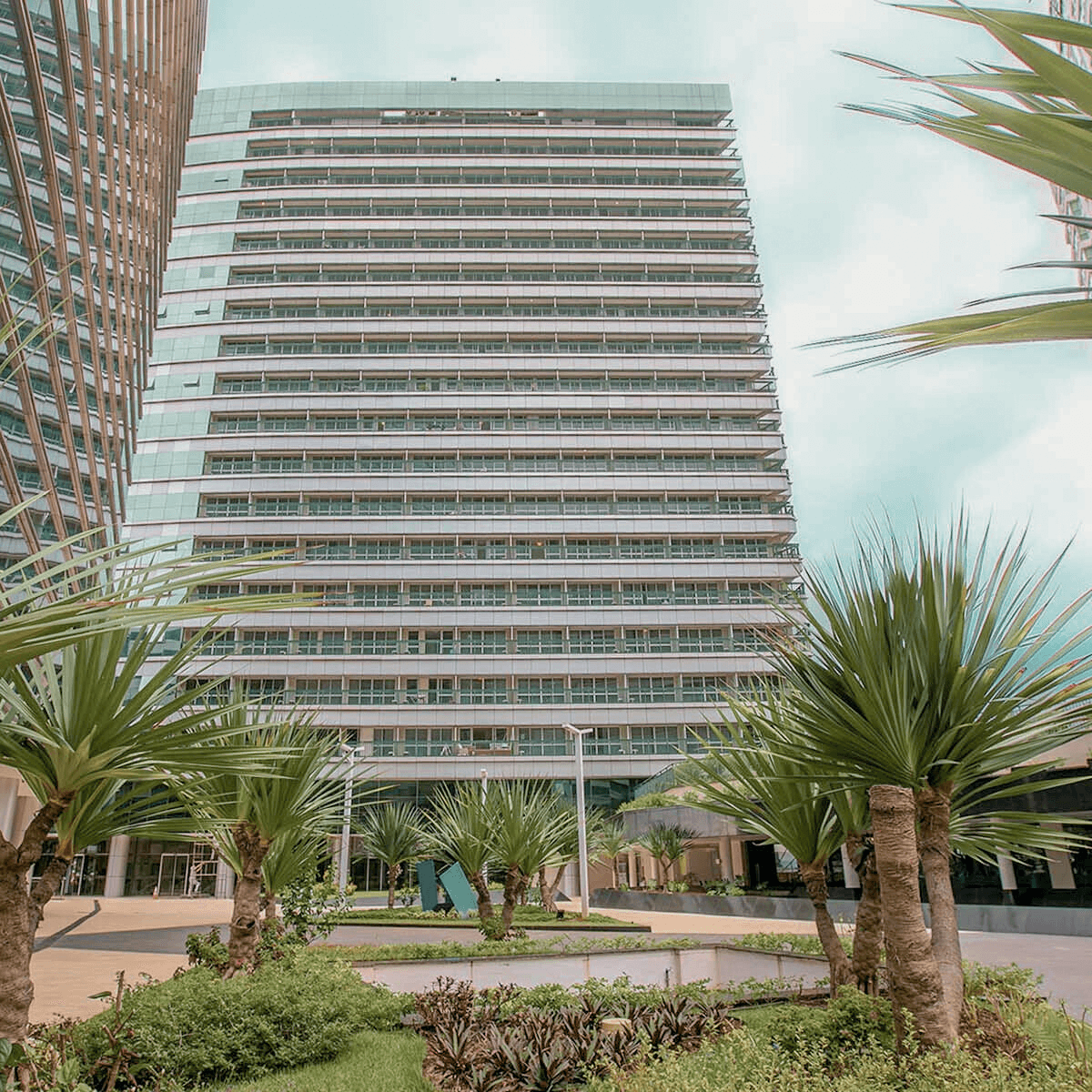 Hplus Vision Executive